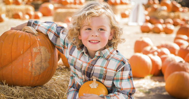 Harvest festivals