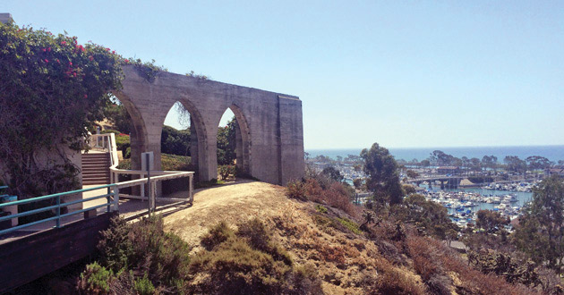 Bluff Top Trail